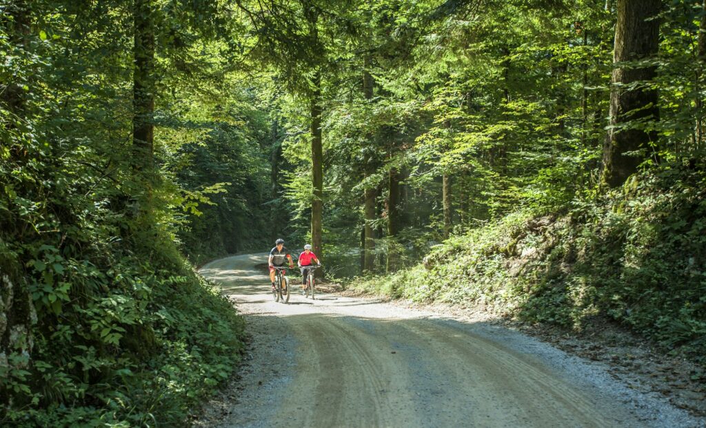 Tourist couple on a bike tour on a dirt path lined with trees on a sunny day